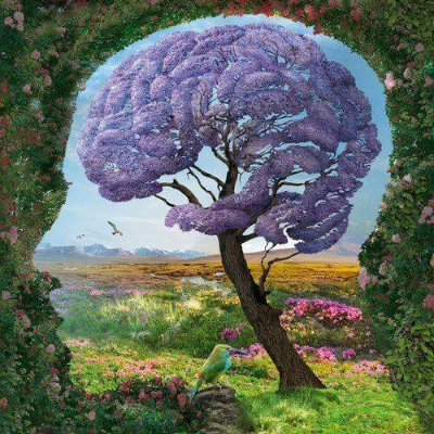 SHARON PANIZZA